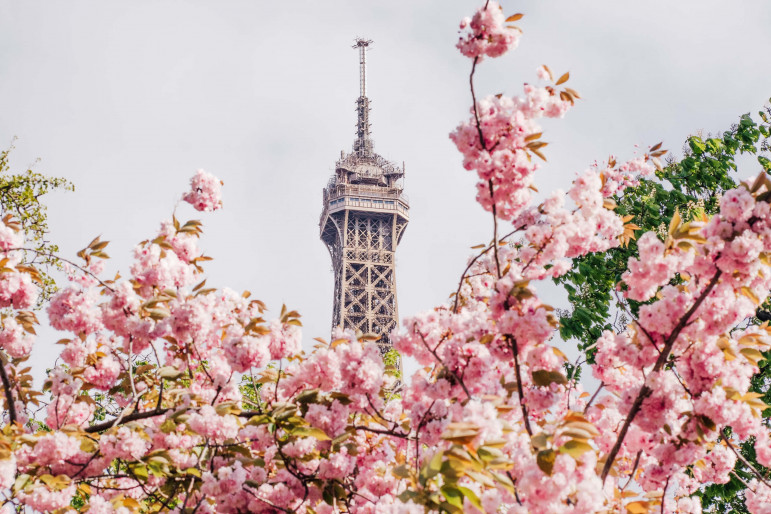 Tour eiffel et cerisiers - Courbet